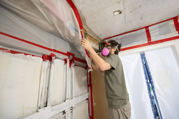 Best Indoor Air Quality Assessment  in Mccaysville, GA