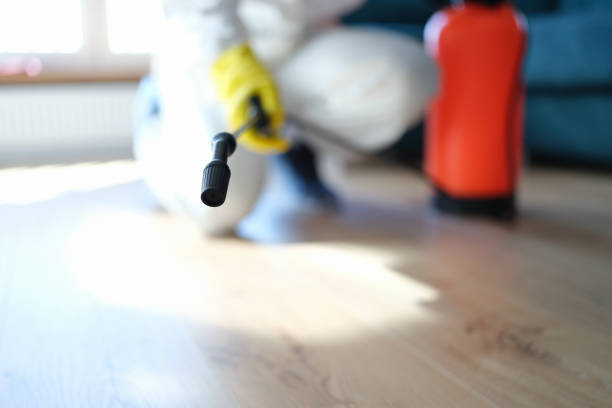 Best Forensic Mold Investigation  in Mccaysville, GA
