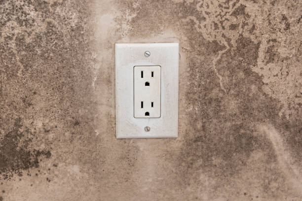 Best Dehumidification Services  in Mccaysville, GA