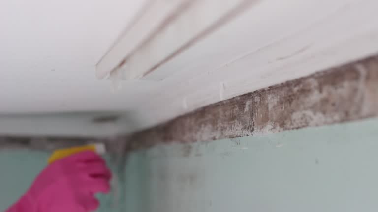 Dehumidification Services in Mccaysville, GA